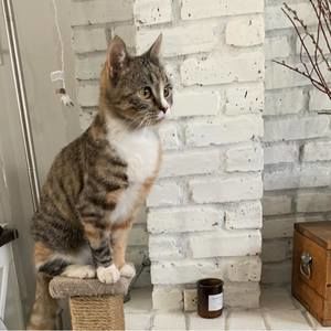 Meet your Posher, Sara